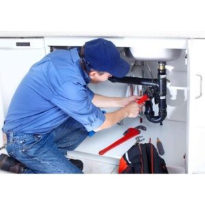 Skilled Plumber Manpower Service - Image 1